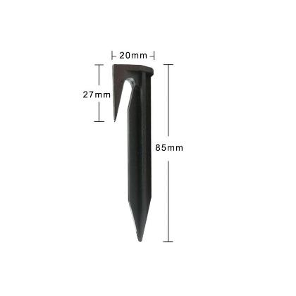 Ground nail  for boundary wire